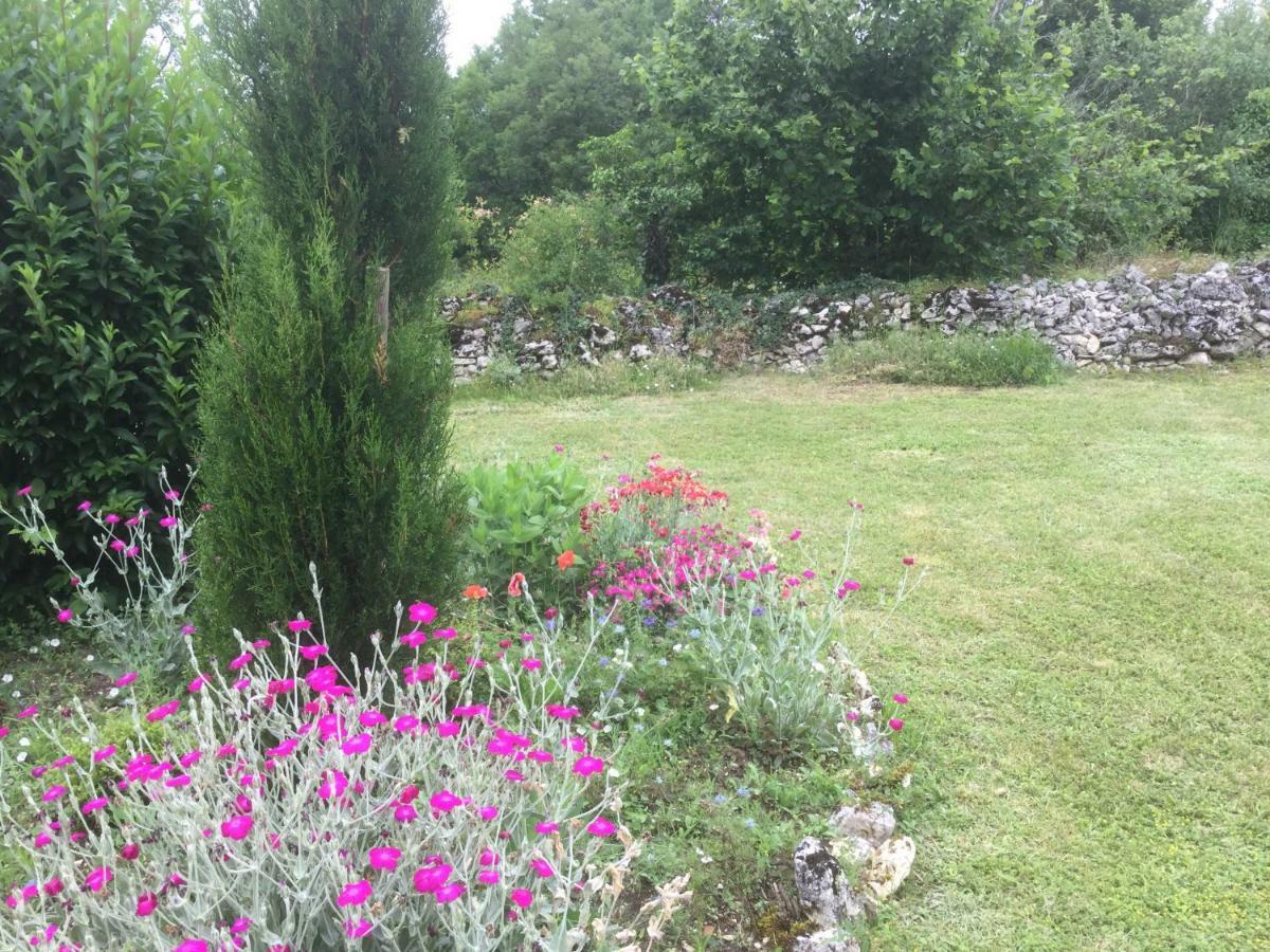 Les Gites Perard Caylus Exterior photo